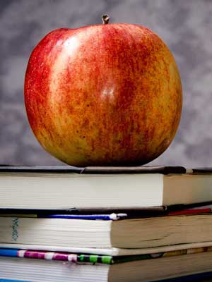 诚信经营的ddos在线攻击