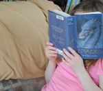 环保无污染的ddos在线攻击