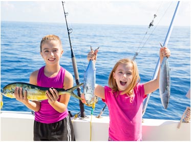 免费ddos攻击网页端